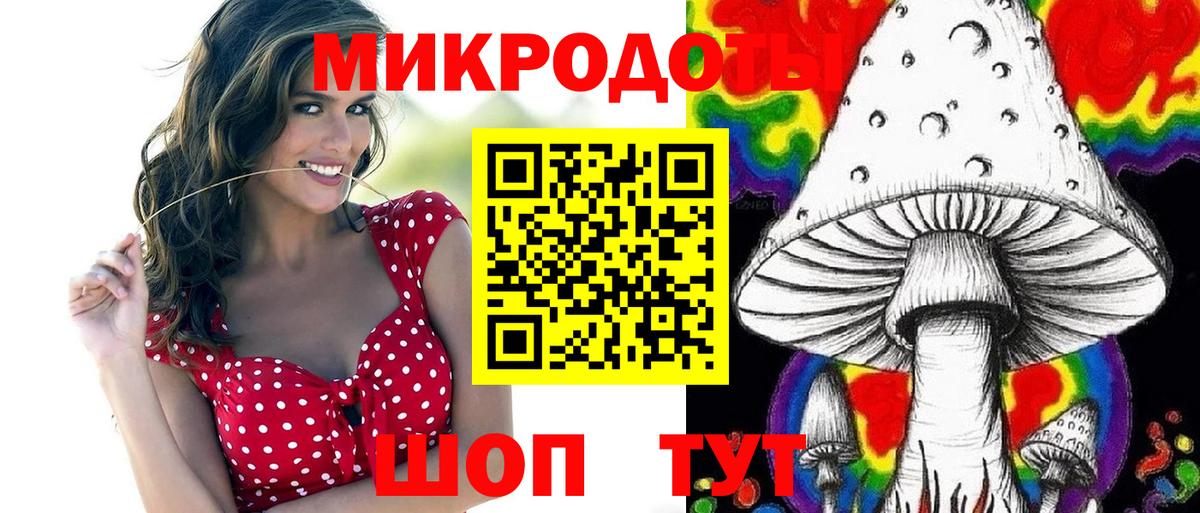 Галлюциногенные грибы Psilocybe Выборг